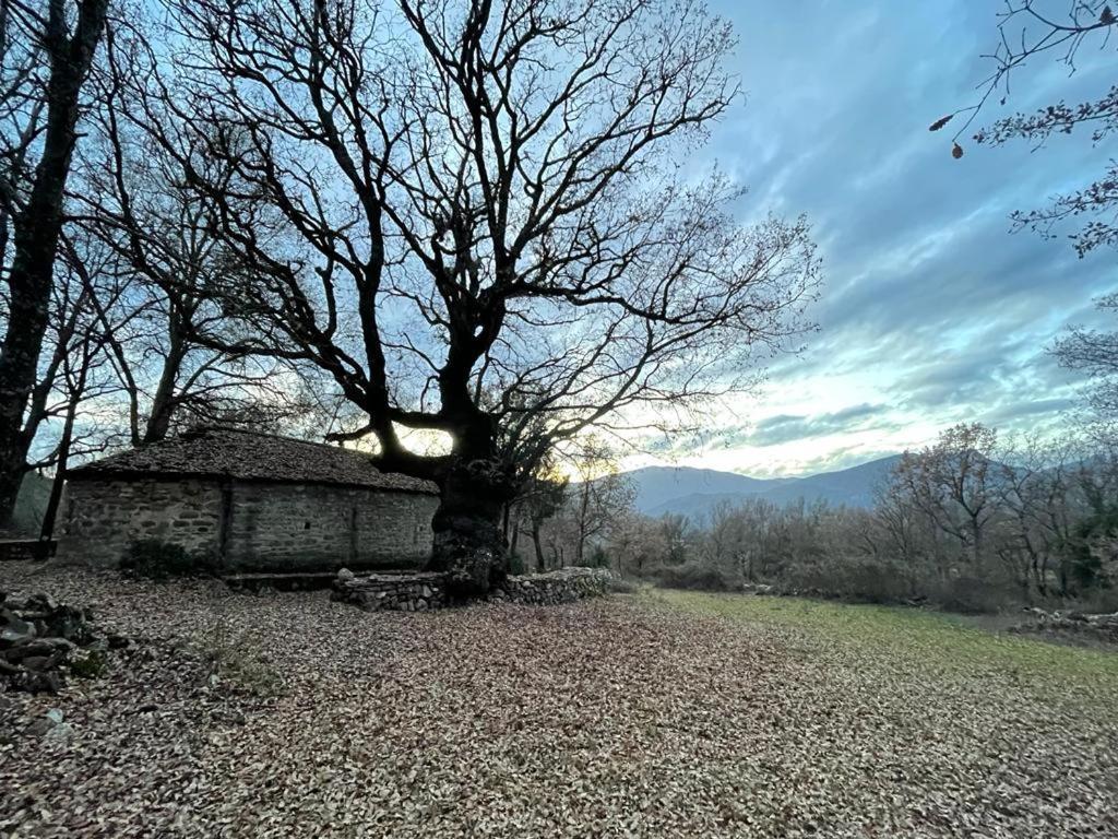 Casa Rural " El Retiro" Villa Laspuña Eksteriør bilde